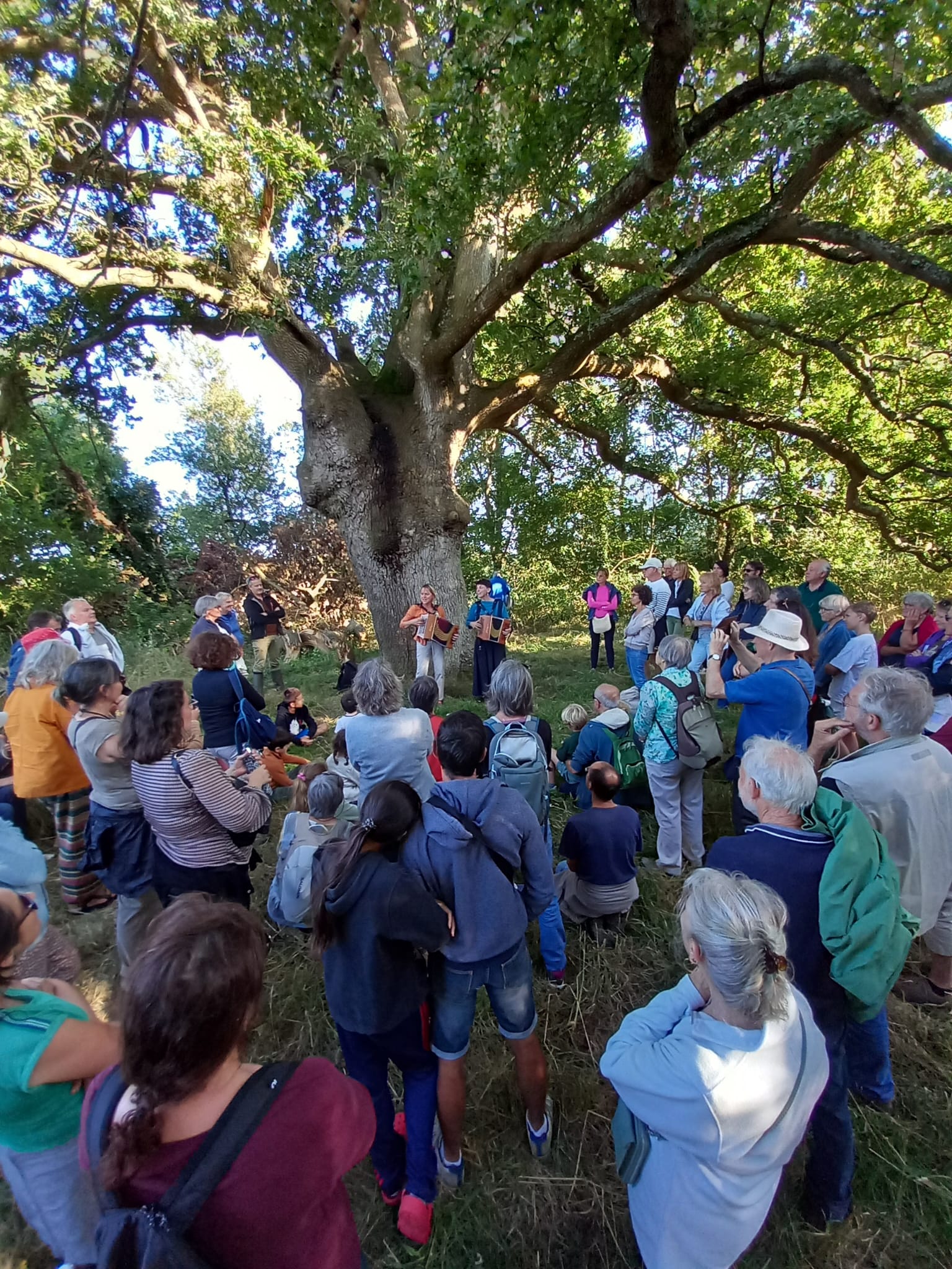 Whatsapp image 2024 08 25 at 12 09 27 2 