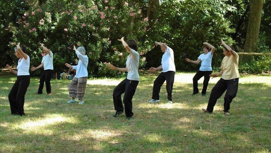 Pratique Tai Chi BOIS DE BAMBOU