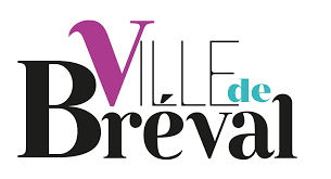 retrait d'epave voiture à bréval
