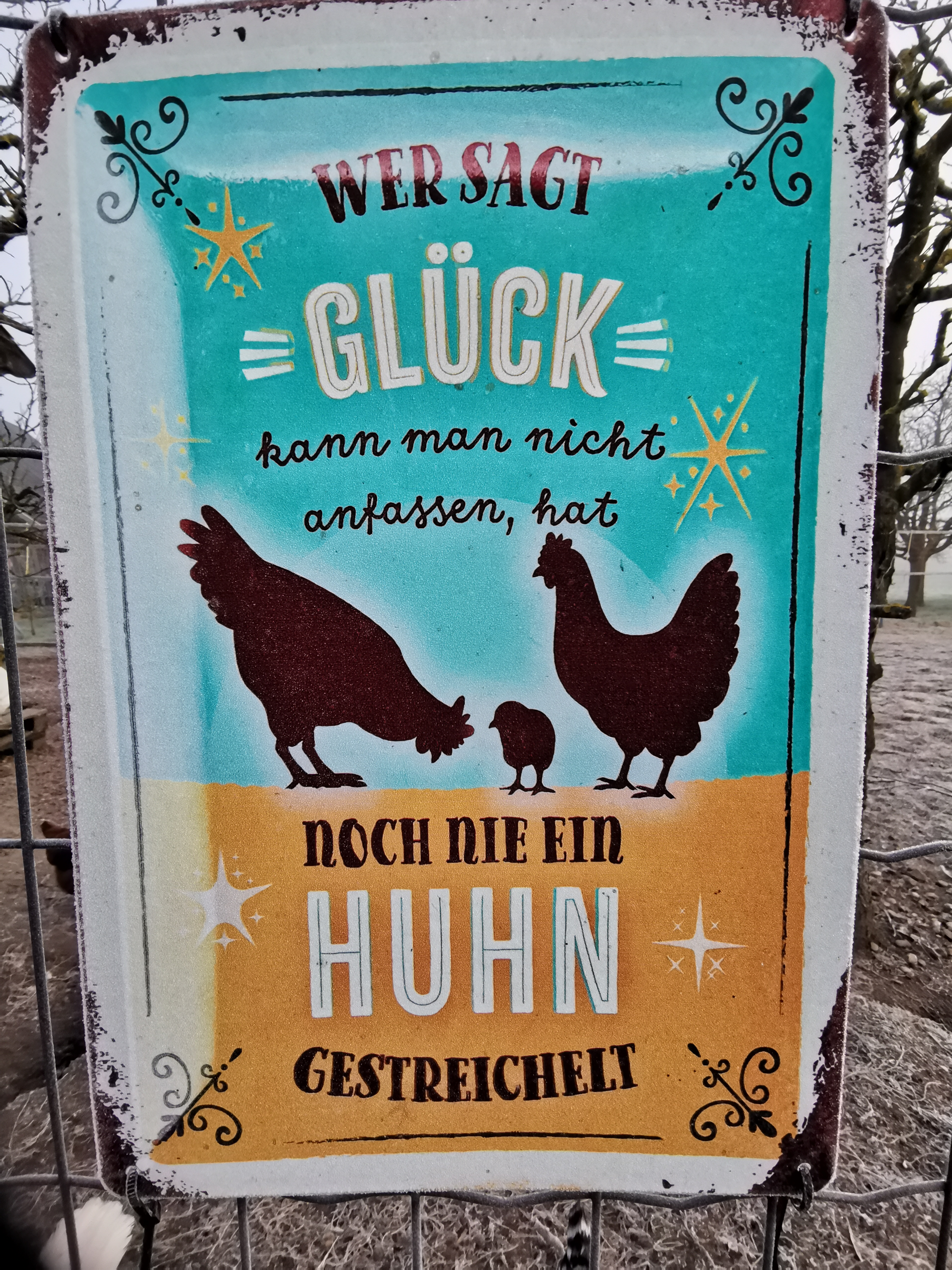 Huhn; Eier; Glück; Federn
