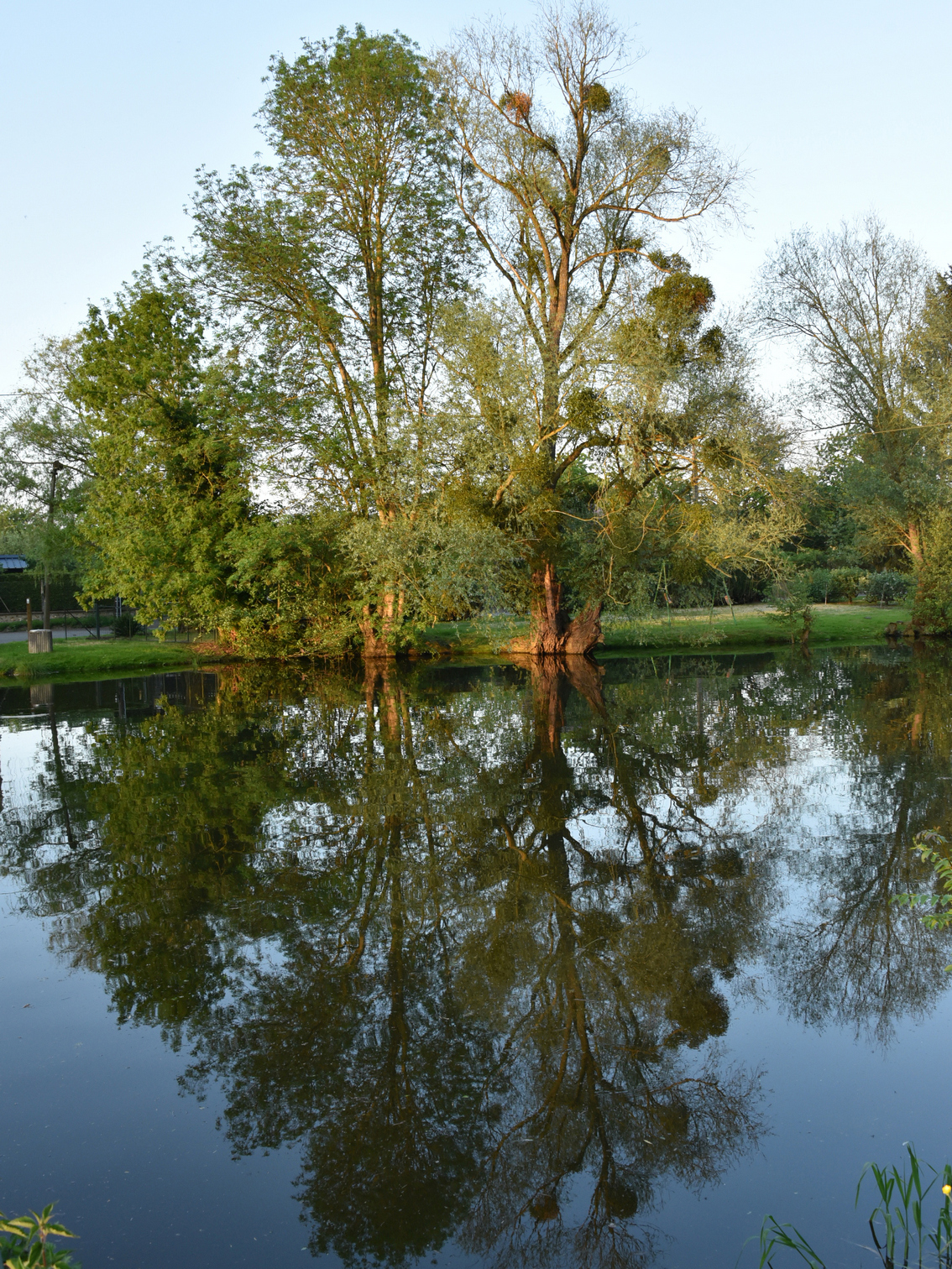 Dsc 4117 copie 30x40 c redim