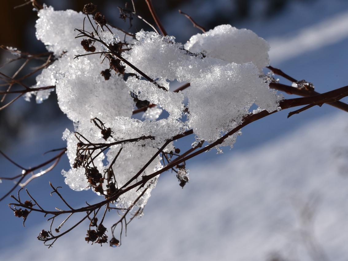 Dsc 3358 copie 30x40 c redim