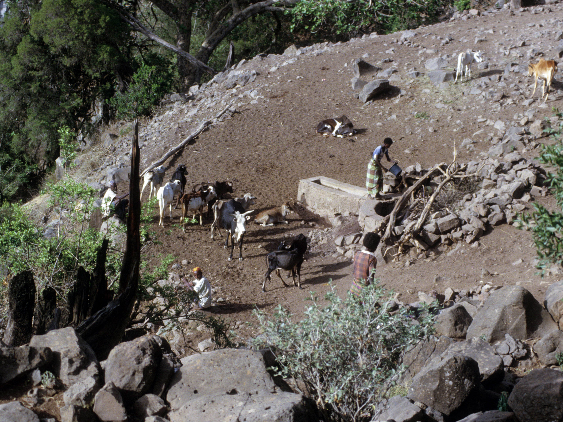 Djibouti et souvenirs 158 c redim