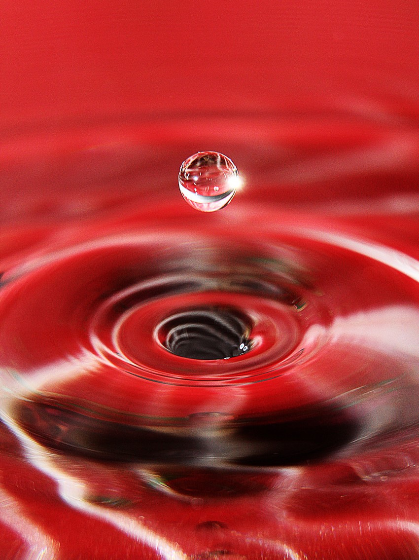 20140212 314 copie jpg redim