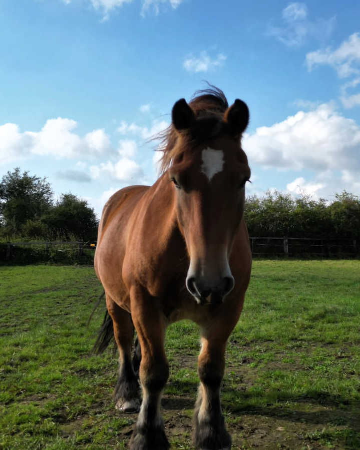 Capture d ecran 2025 07 29 232527