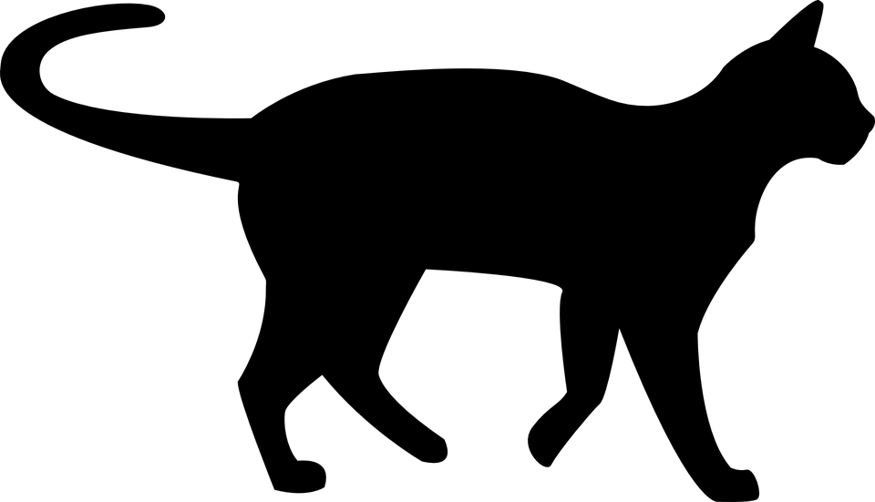 5a5a8b8614d8c4188e0b08e6