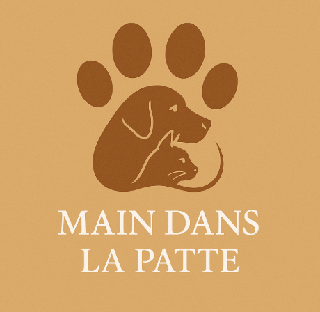 Logo de l entreprise