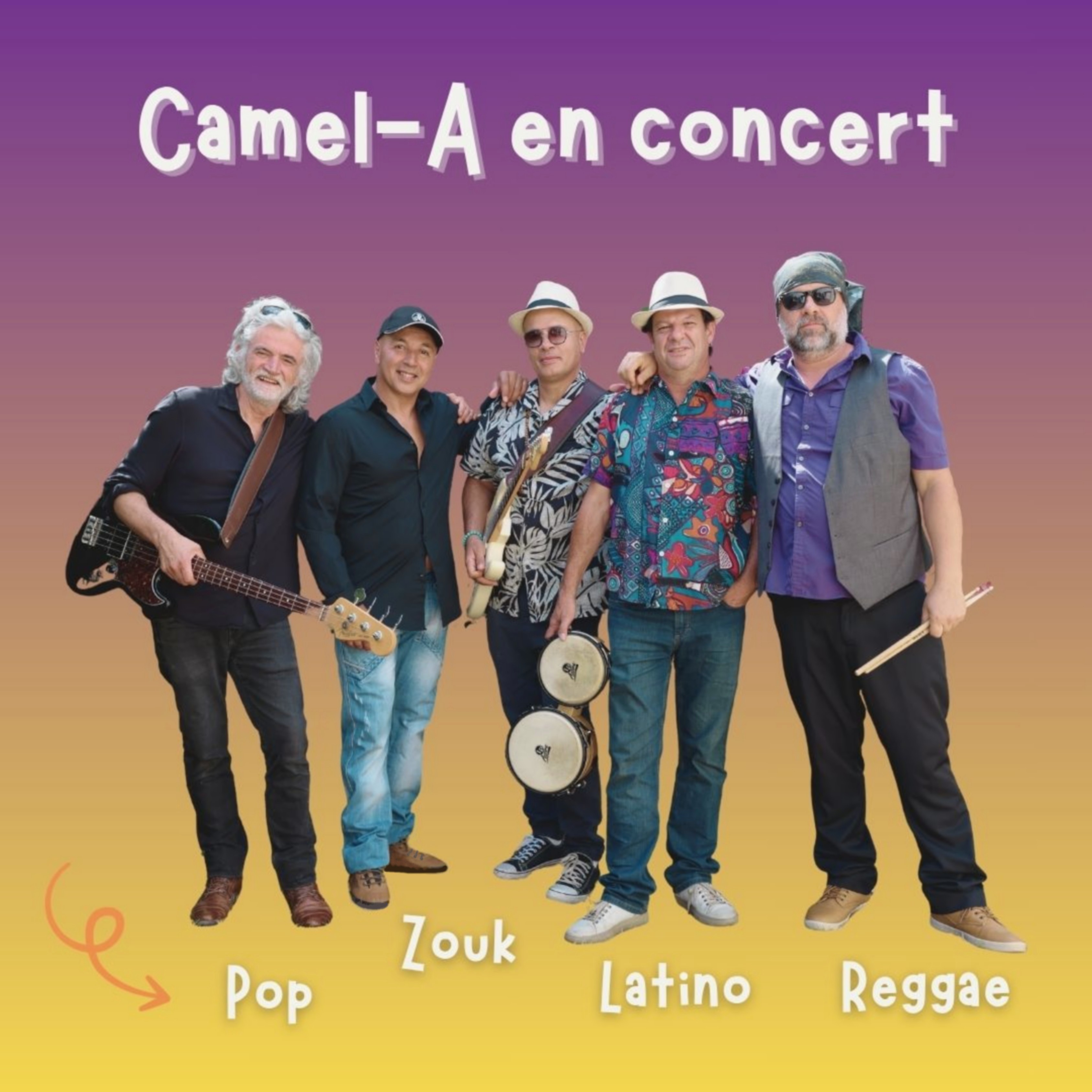 Camel-A-Groupe-Pop-Metissee