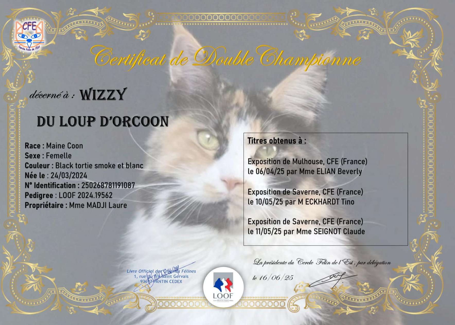 Cfe wizzy du loup d orcoon cacibsigne  1 1 