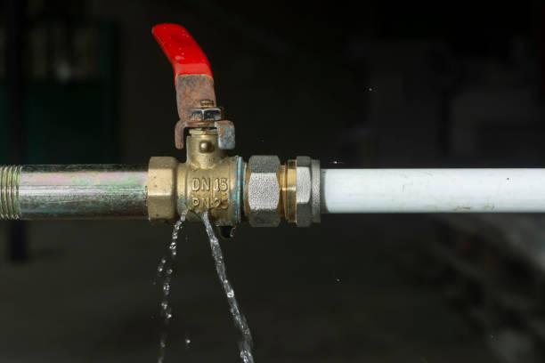 Istockphoto-1424007128-612x612