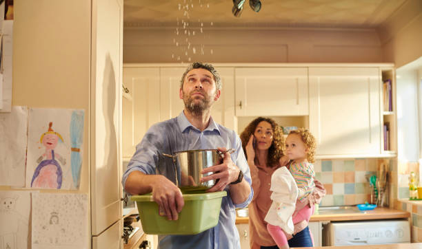 Istockphoto-1306206468-612x612