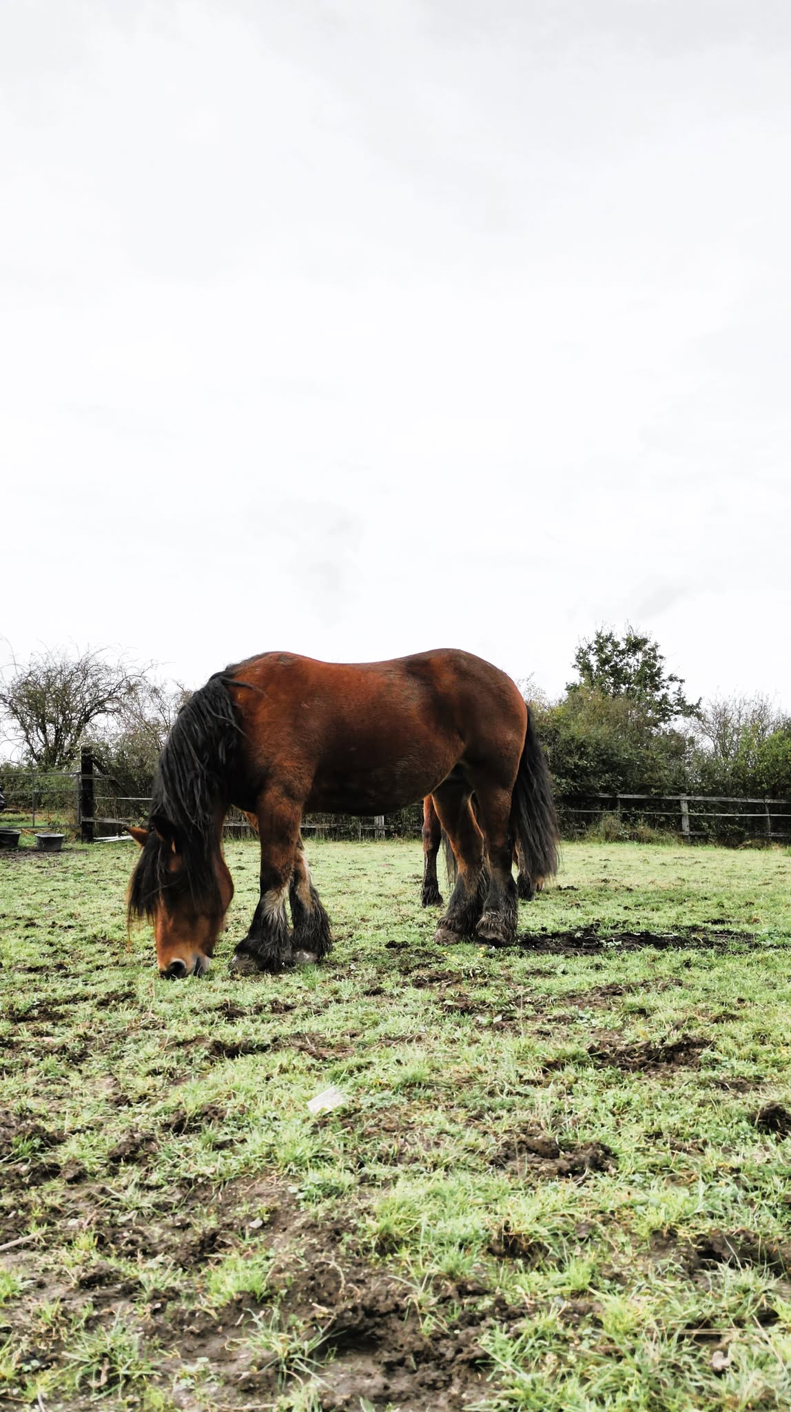 462538010 1054987899332881 3414696874765357859 n