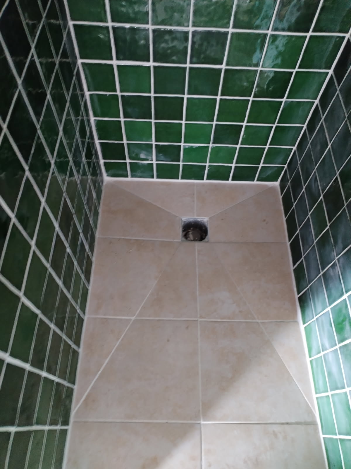 Image9665