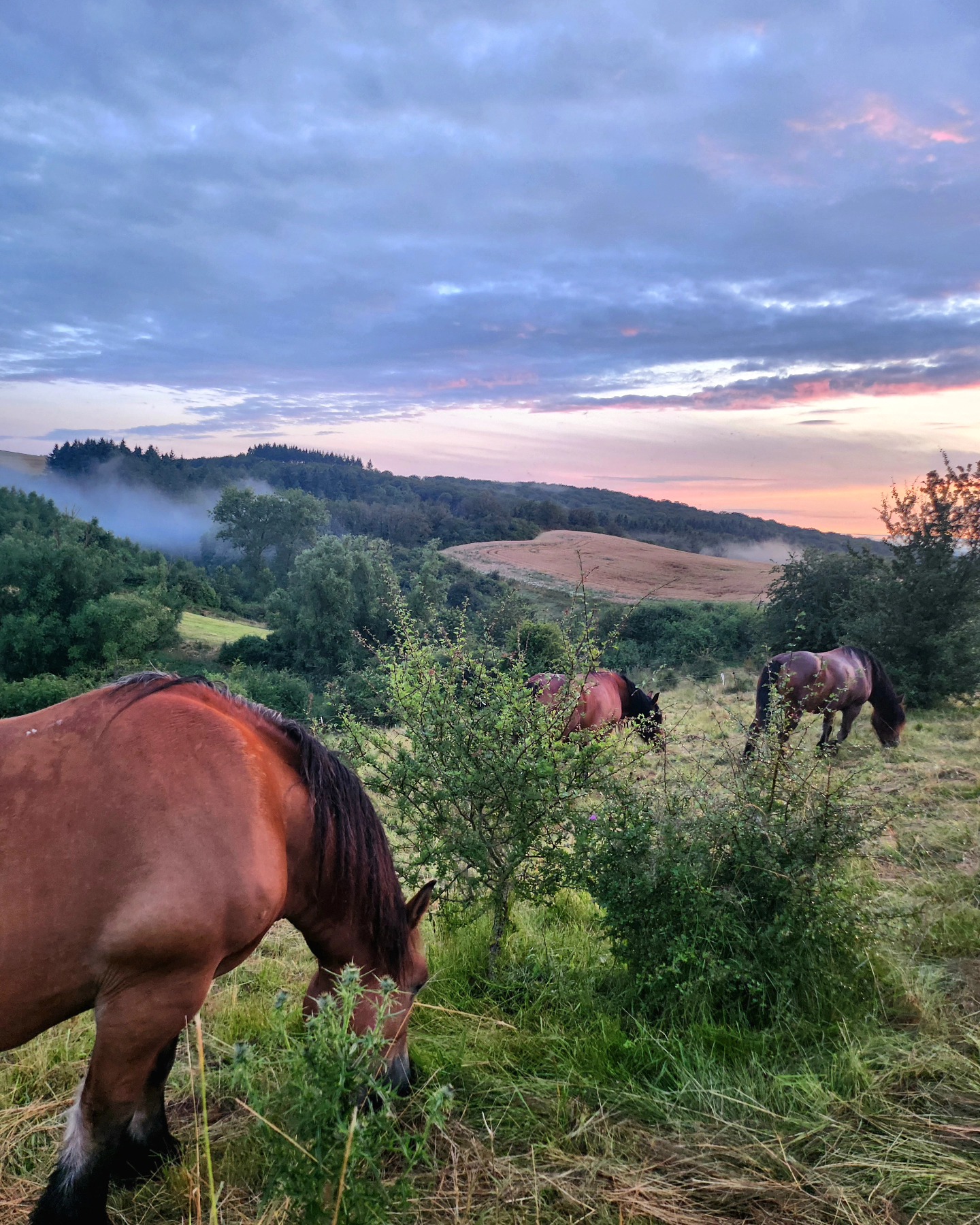 505239297 23910311708563592 5168629693228598517 n