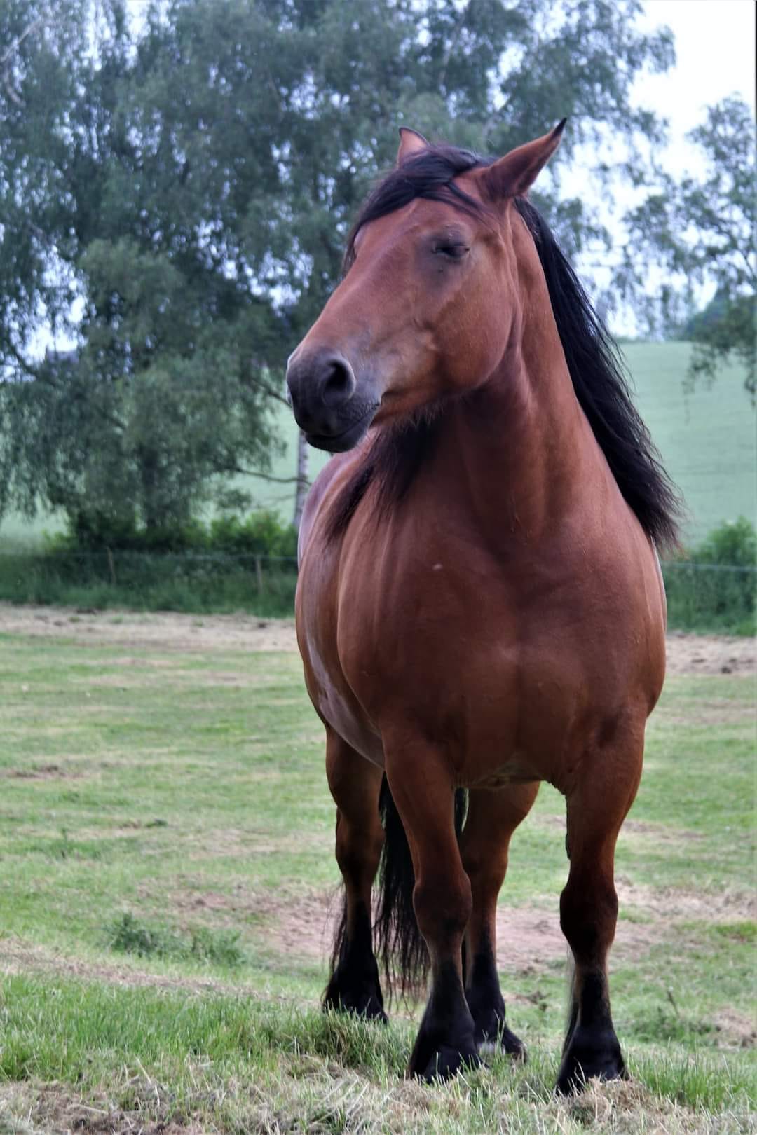 205402306 4189780387710017 4508002091320419033 n