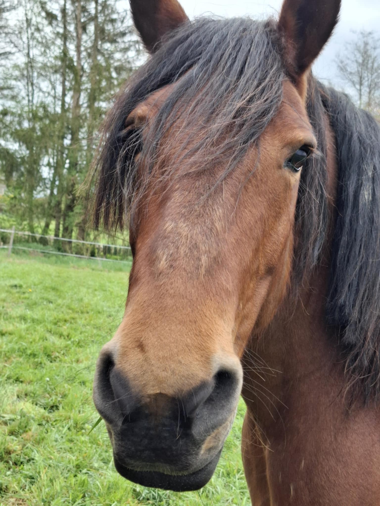 A82350a8 dddd 4551 899a b4fc0a951969