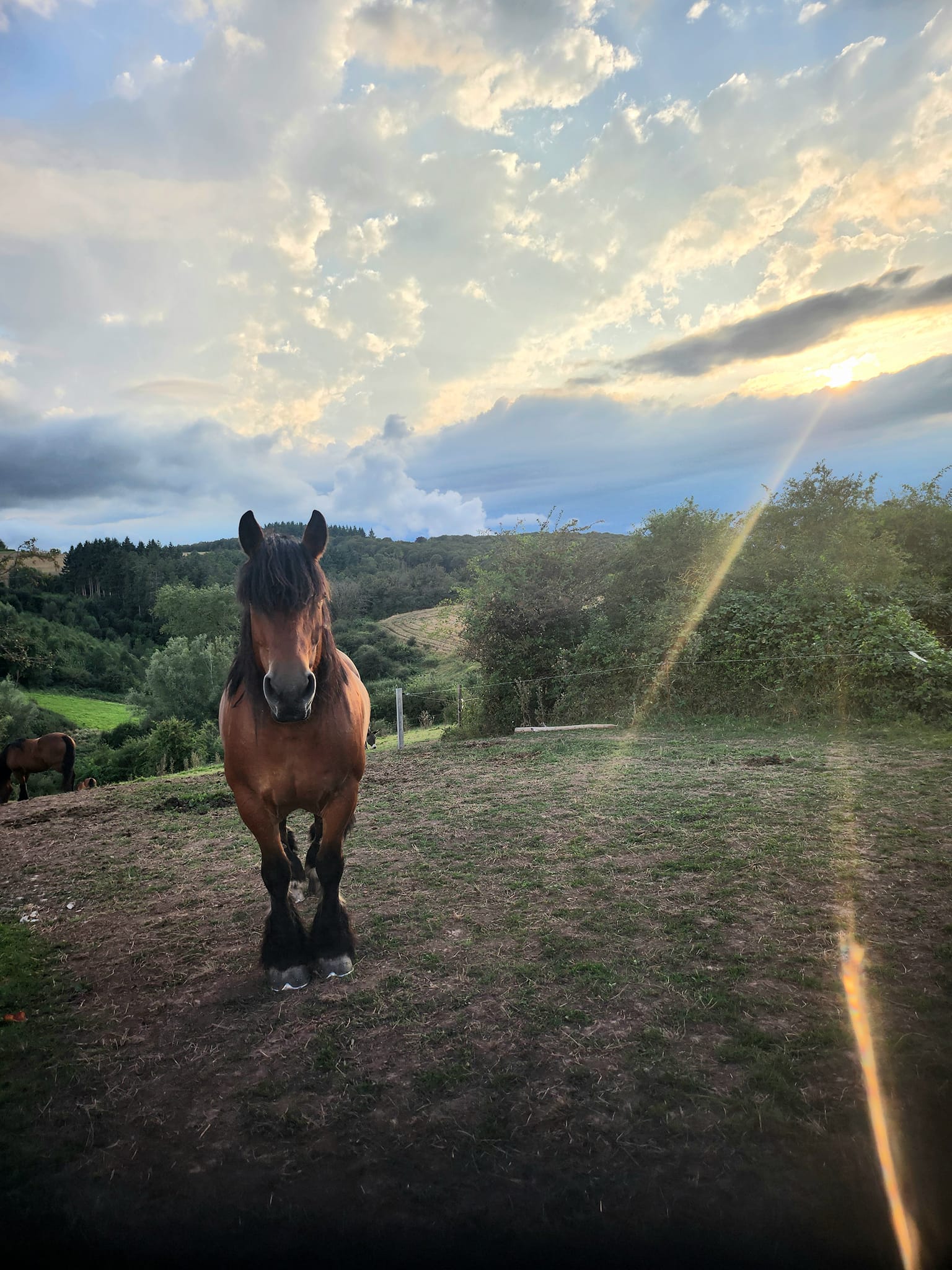 506642589 23938168782444551 511820041839333795 n