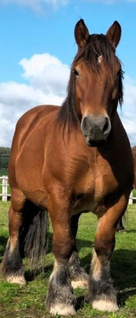 Capture d ecran 2025 08 01 202705