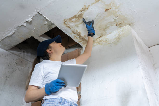Istockphoto-2158092286-612x612