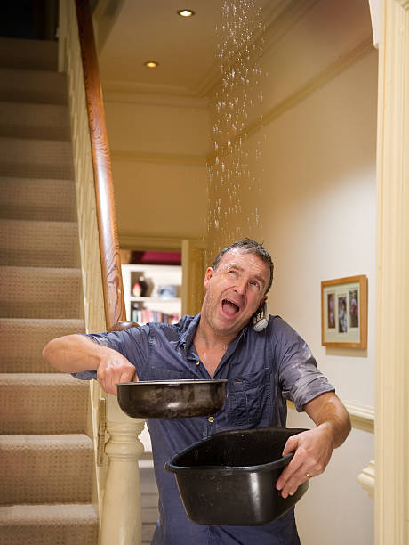 Istockphoto-117146409-612x612