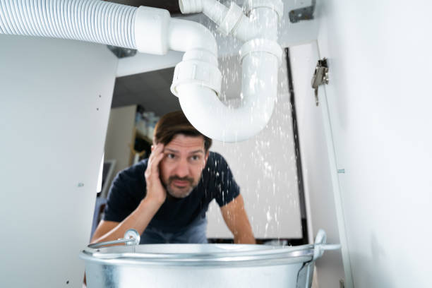 Istockphoto-1409042413-612x612