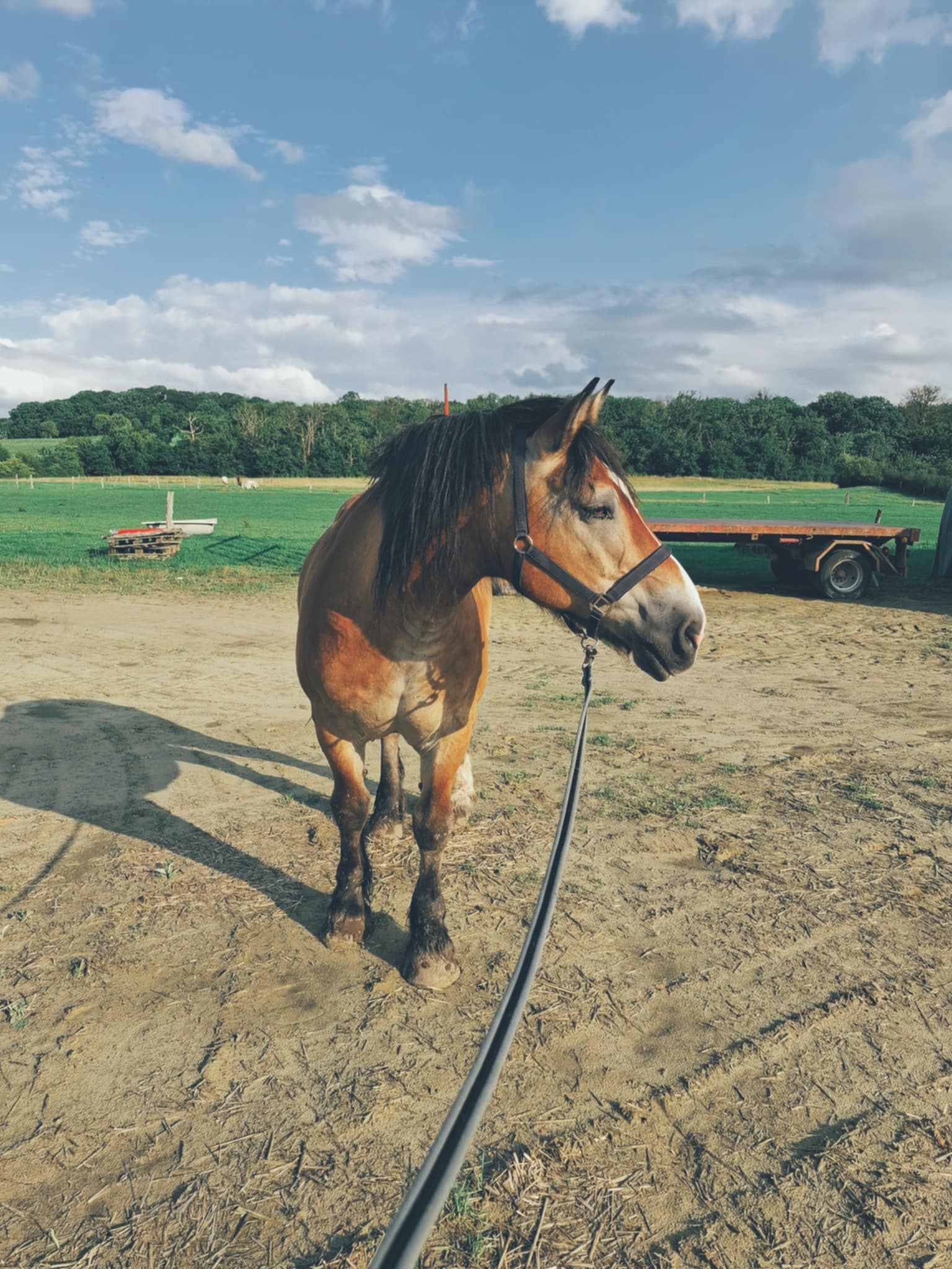 2da01680 7feb 4395 82c1 6da2d1a6a368