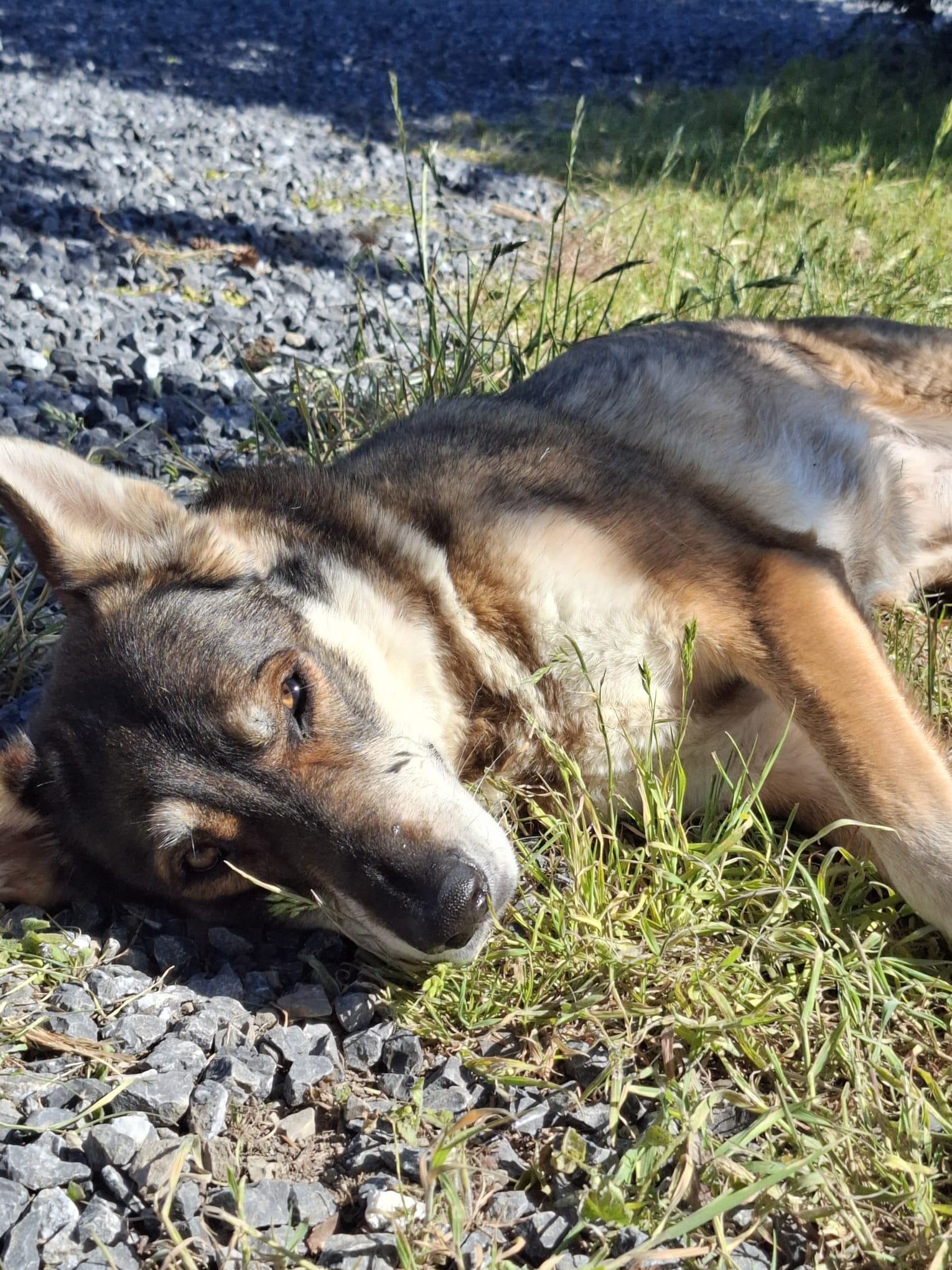 3a39391a 5b24 46f2 991c 6e9752606108