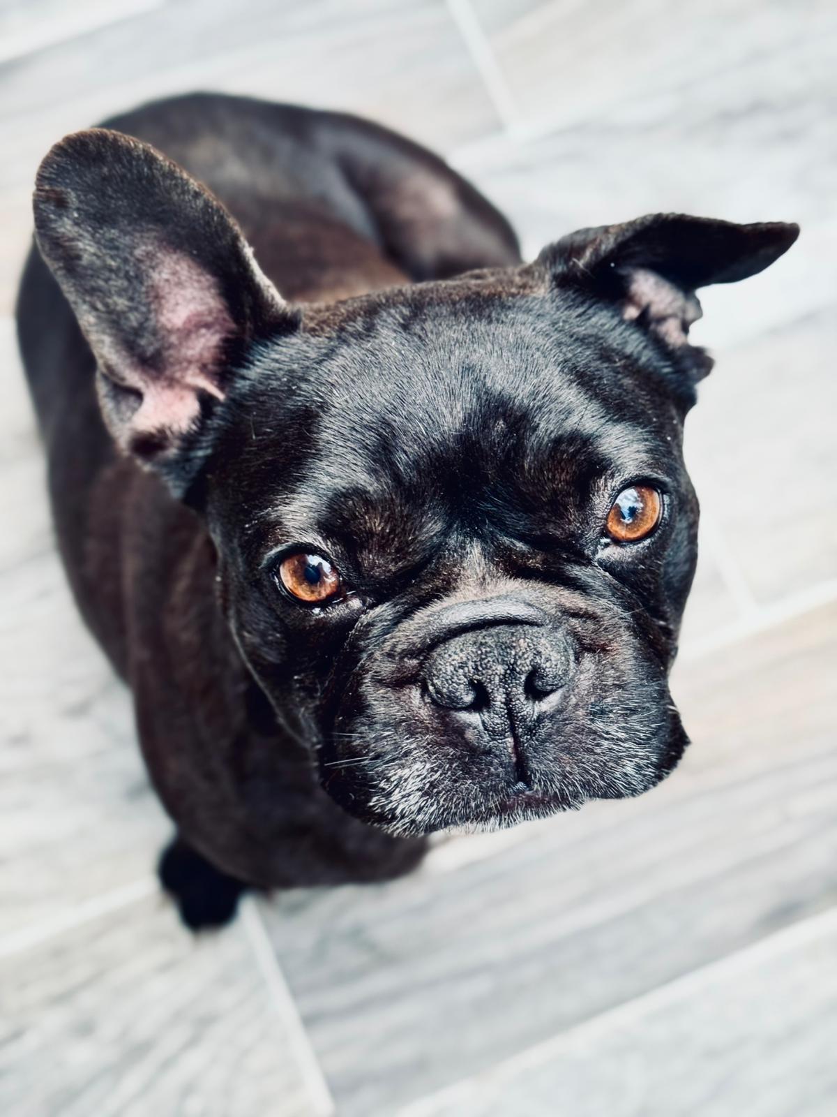 091956a6 741b 4671 a2d8 2f6d1462aa59