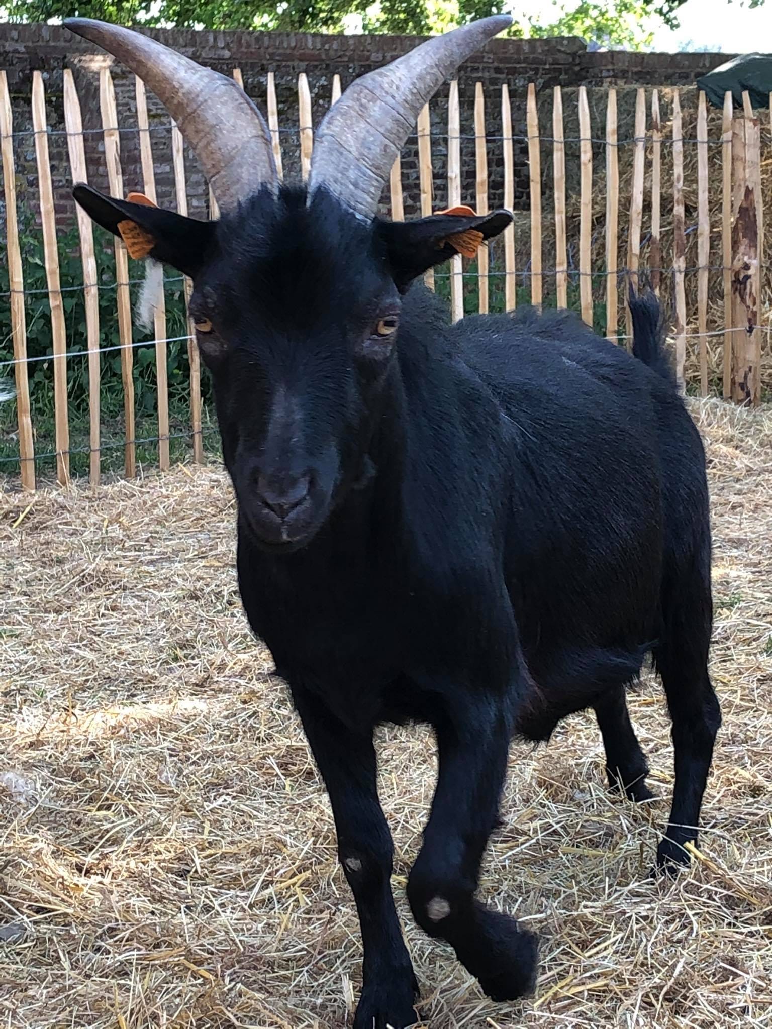 29ef2ac7 ec53 4692 a18d 4cf1b2d398a4