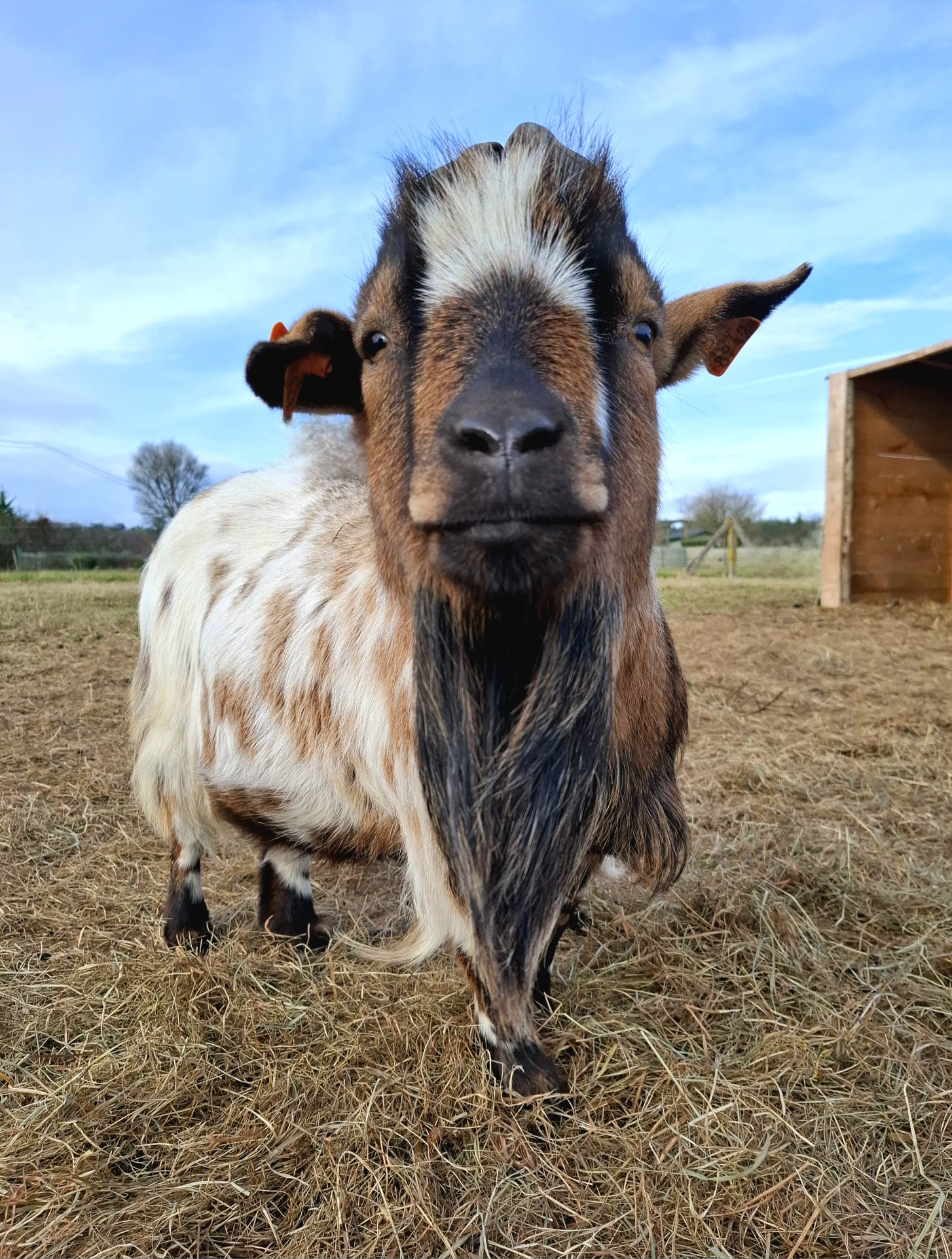 67839638 0afe 4363 bd20 050c72d1b078