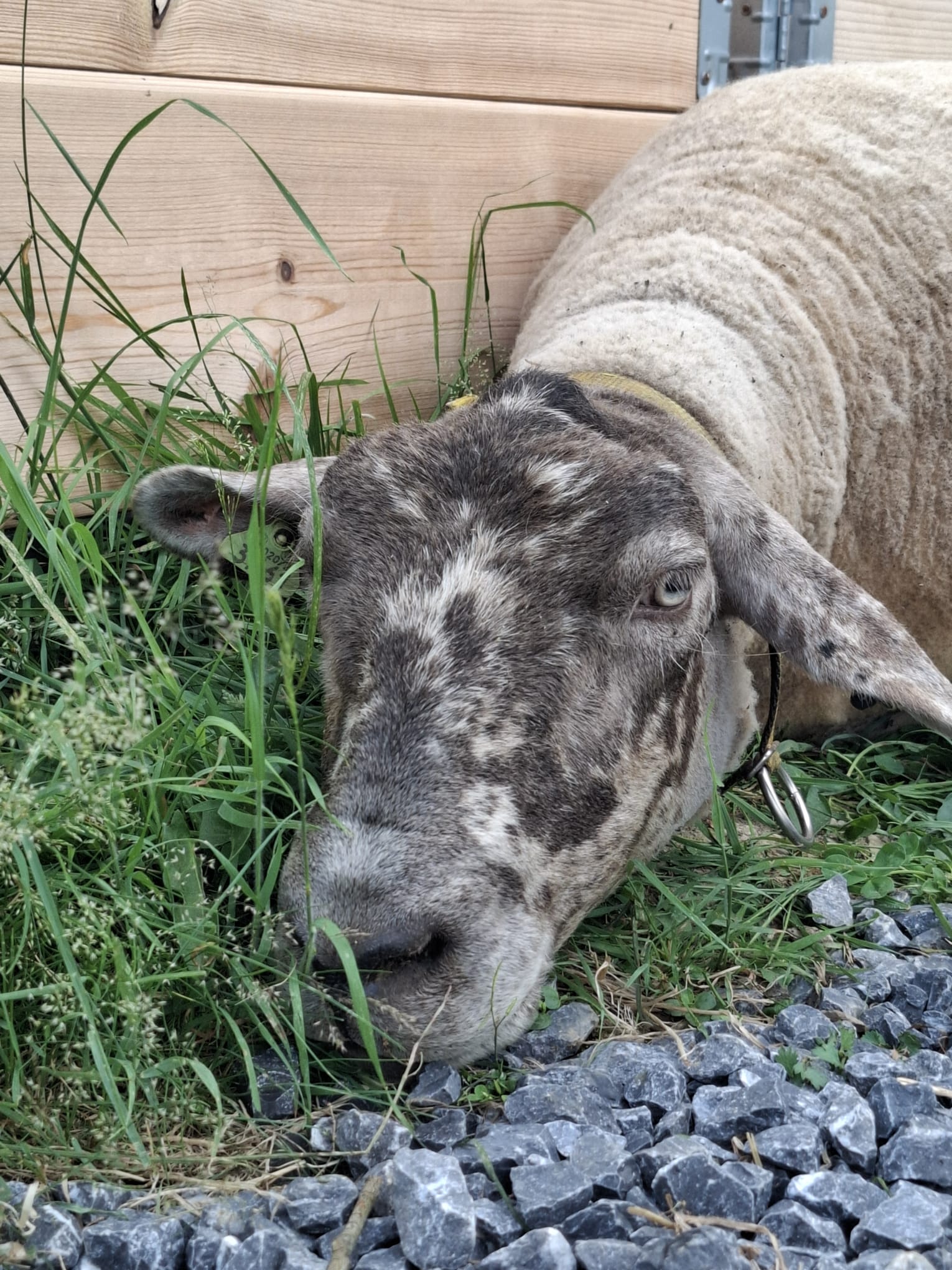 A5c0af6f 6a9f 4f24 8bbf 055c210a1252