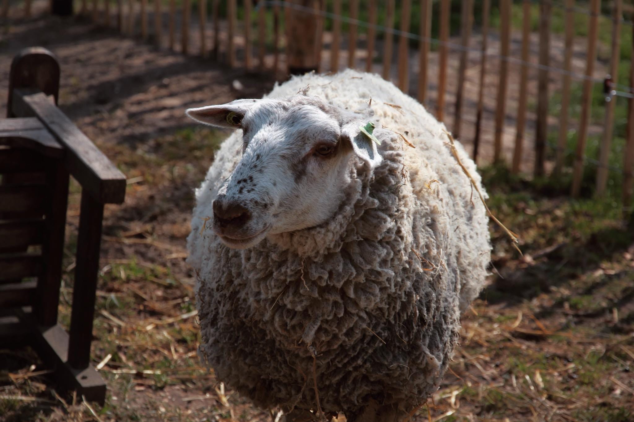 8bc98cd3 f217 4a09 9d19 01e974c8130d