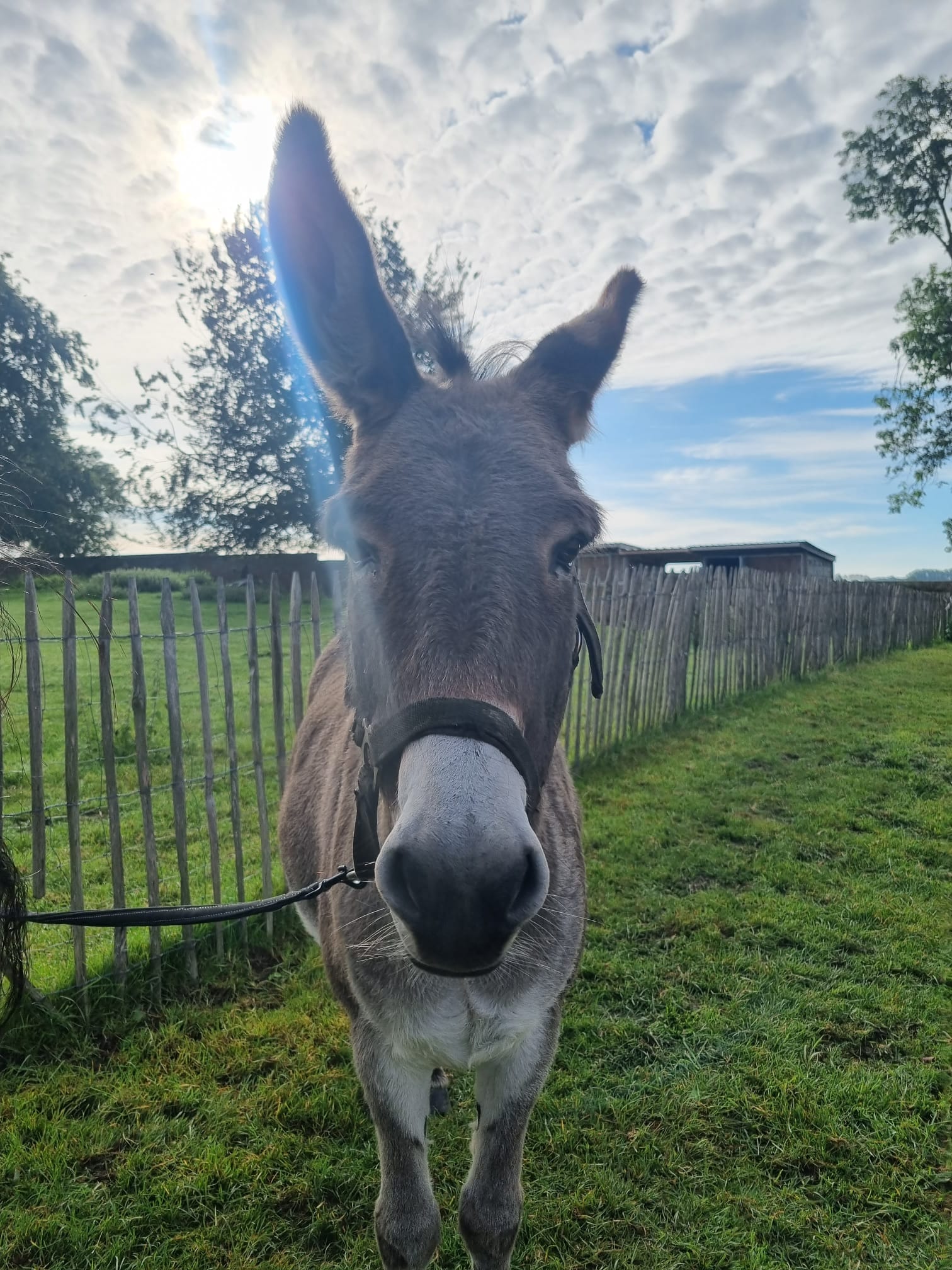 673a88ac 3c1a 4a6d a644 8e3ce729cb67