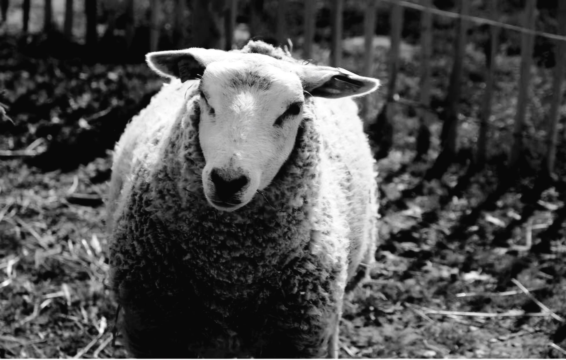 7f2b62aa 9c5f 4b4f 8624 b8eda7386b58