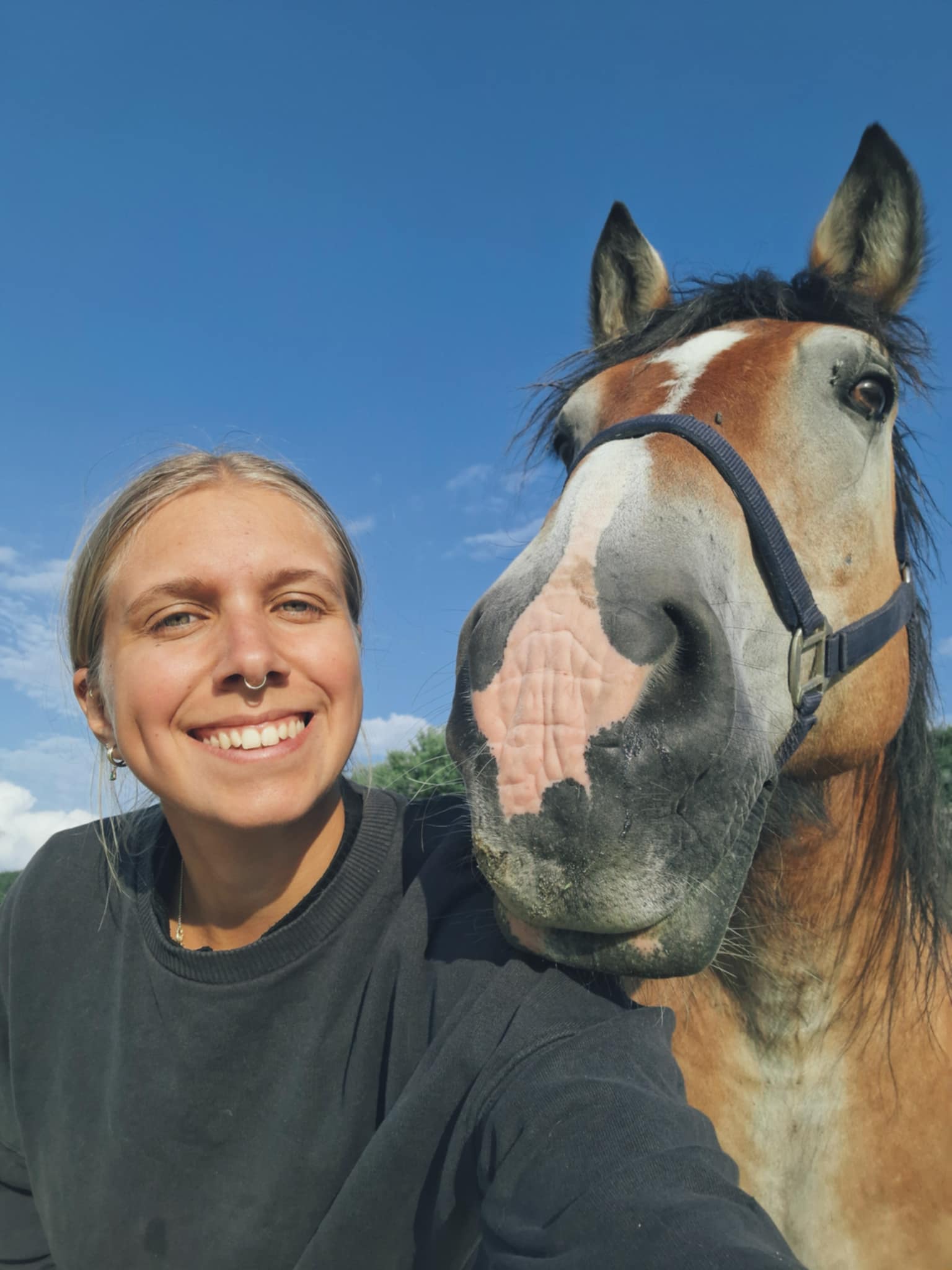 E8554ffd 9960 4f0d 965c 05f332028297