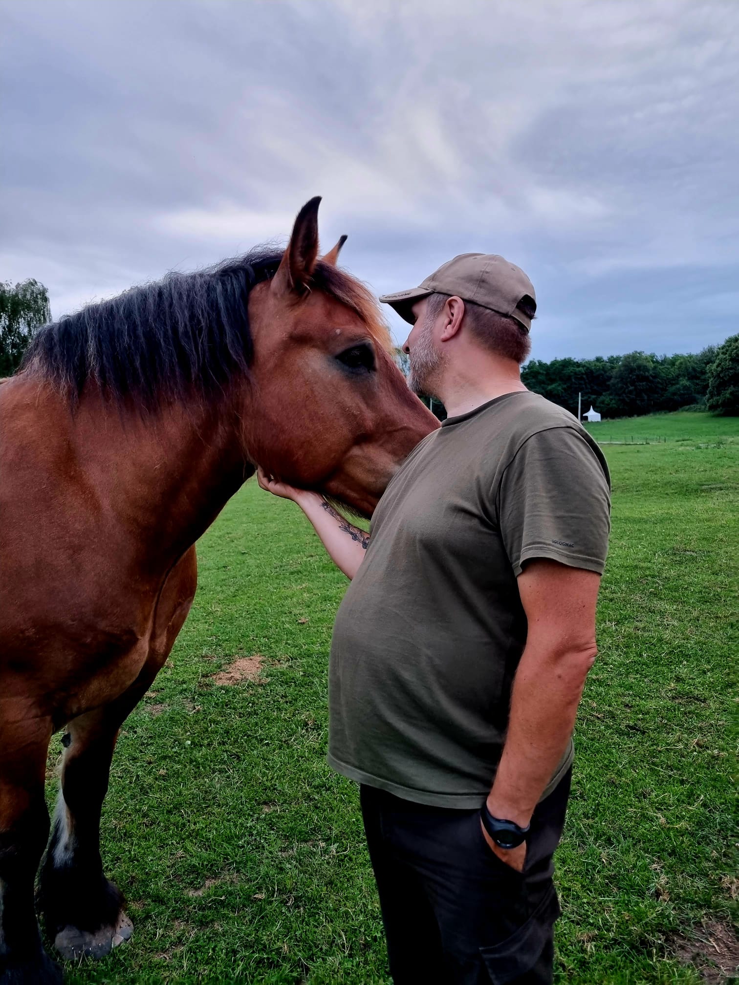 D4512d8f bdb1 4cee b02e 3cb028a789b9