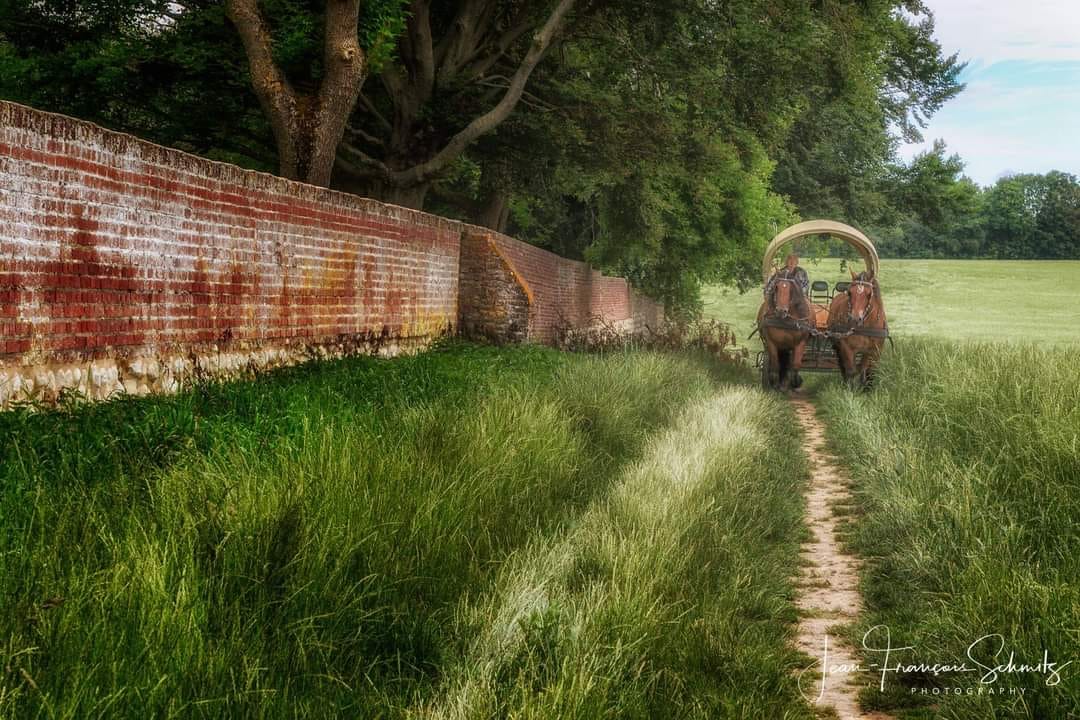 117715525 3285804851440913 2537835908583492625 n