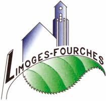 limoges-fourches épaviste