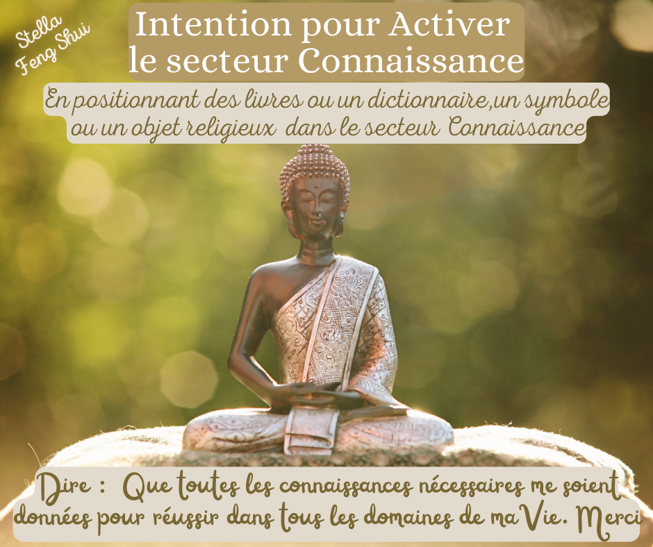 Intention-pour-activer-le-secteur-Connaissance