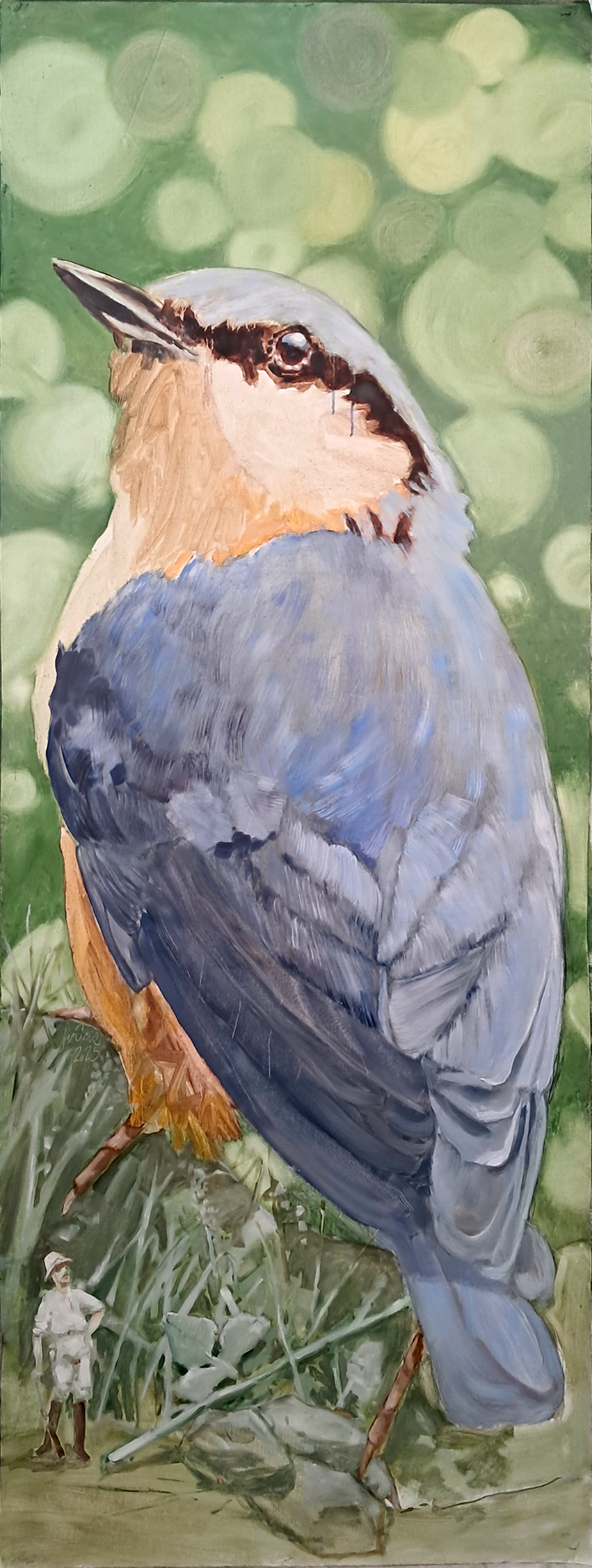 Sitelle-et-sa-taille