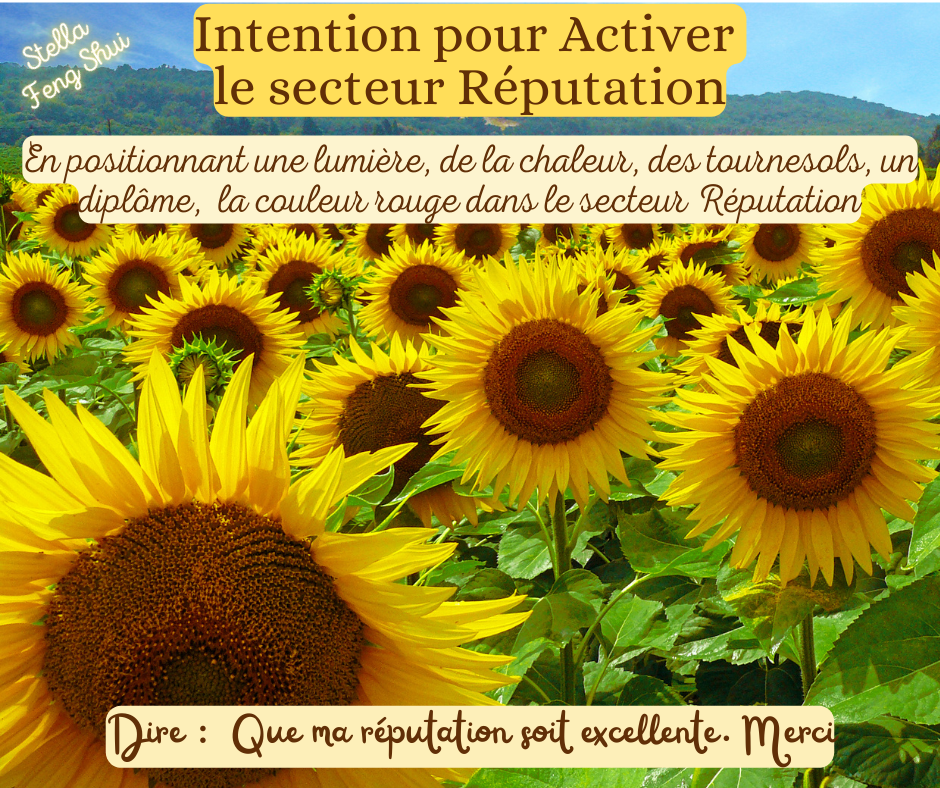 Intention-pour-activer-le-secteur-Reputation