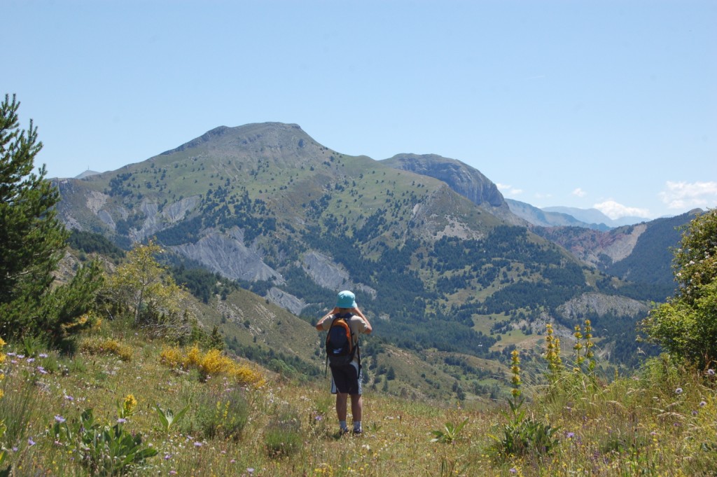 Gite-rural-avec-piscine-gite-de-France-alpes-de-haute-provence-sisteron-baronnies-haute-alpes-verdon-serre-poncon-luberon-Rando