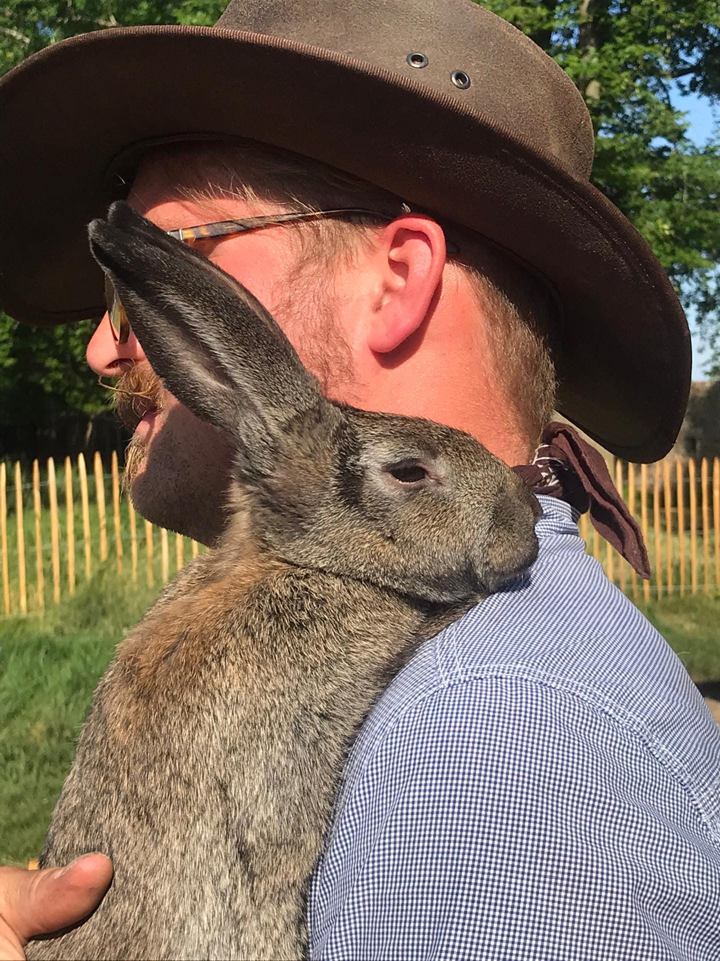 102431554 3106050486083018 1957983788284016413 n