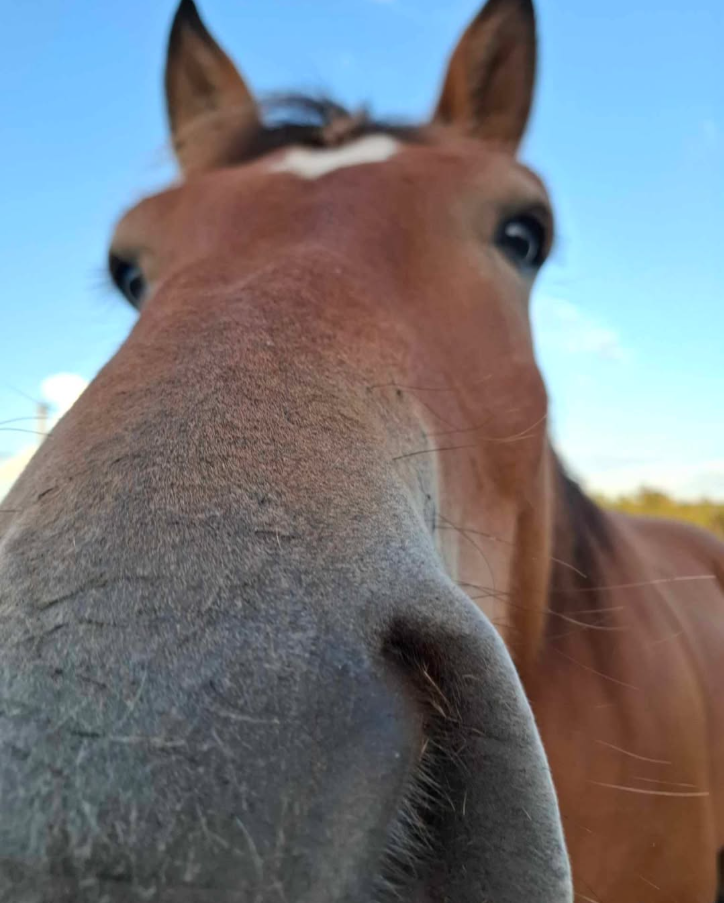 Capture d ecran 2025 08 07 165642