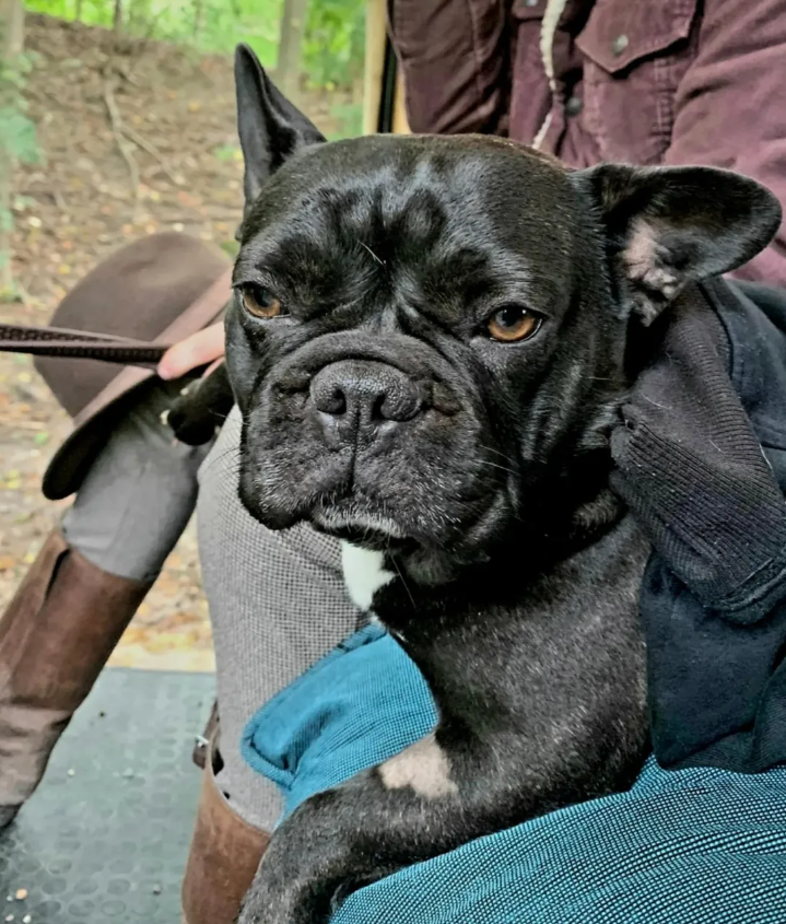 Capture d ecran 2025 08 07 172940