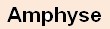 Amphyse