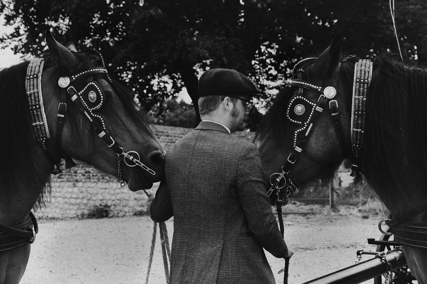 108050853 3196708173683915 8073531937507087022 n