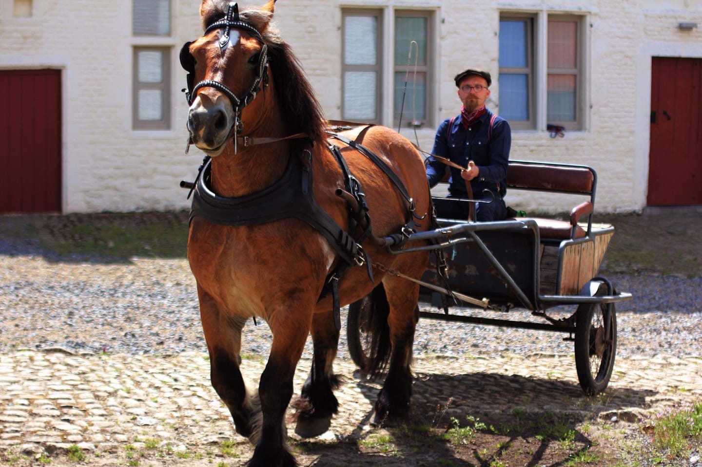 95567715 3016257165062351 494078589461856256 n