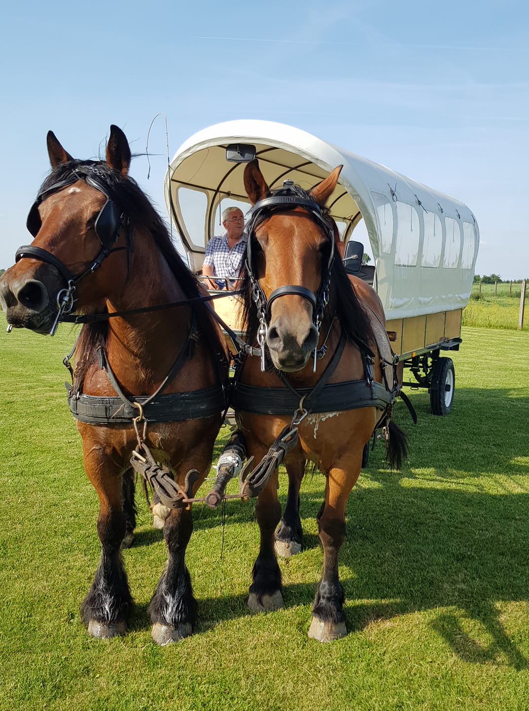 66370438 2402684719752935 8279312180512292864 n