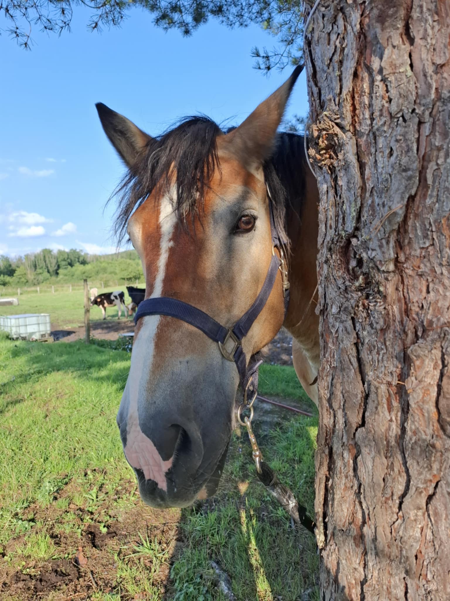 1298d0e0 3af4 4e6a be75 3a0a40130e10